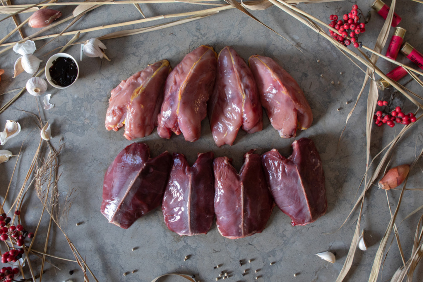 Fågellådan - 16 filéer